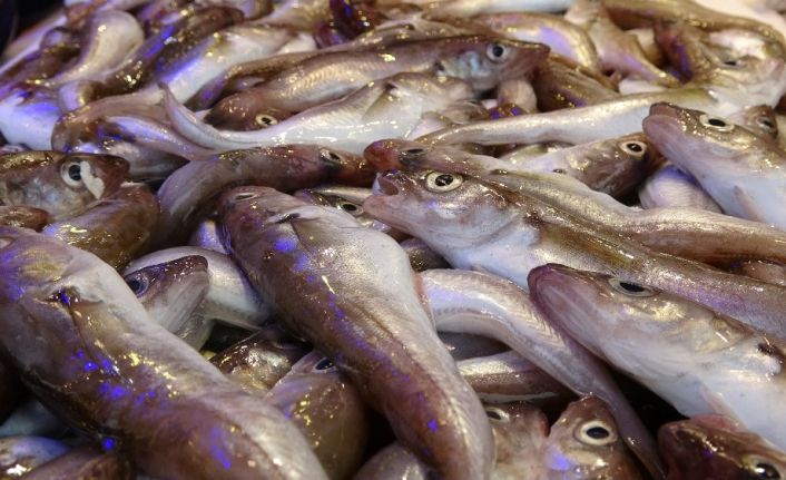 Trabzon’da balık tezgahlarında ‘Korona’ sessizliği