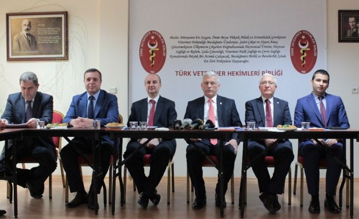TVHB Başkanı Eroğlu: "Evcil hayvanların korona virüsü yayabileceğine dair bir kanıt bulunmamıştır”