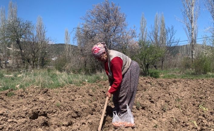 76 yaşındaki eşi dışarı çıkamadığı için tarlasını tek başına çapalayıp ekiyor