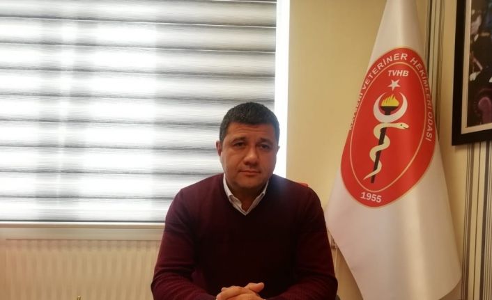 Akgün Ergül: “Kuş gribi, Covid-19’a göre daha ölümcül bir virüstür”