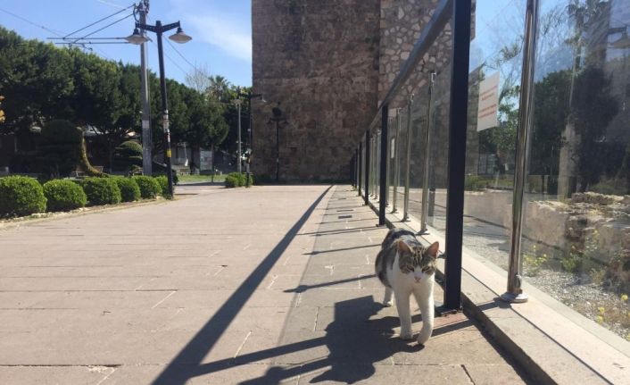 Antalya Valisi Karaloğlu: "Seyahat İzin Belgesi ve çok ciddi mazereti bulunmayan hiç kimse Antalya’ya gelmeye kalkmasın"