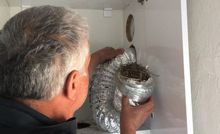 Aspiratör bacasındaki 8 yavru kuş telef olmaktan son anda kurtarıldı