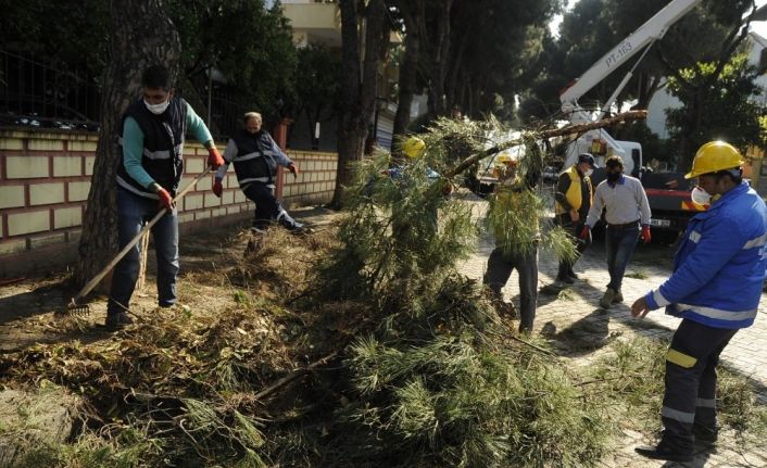 Aydın Büyükşehir ve Nazilli Belediyesi’nden ortak çalışma