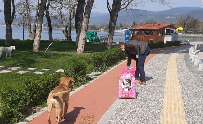 Başkan, sokak hayvanları için çağrıda bulunan vatandaşa özel aracı ile mama götürdü