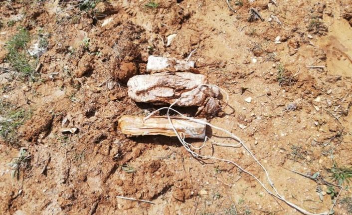 Bitlis’te toprağa gömülü 15 kilo EYP ele geçirildi