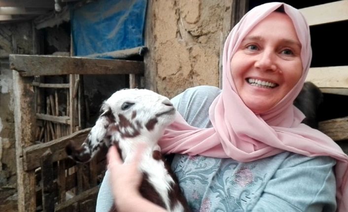 Borç para ile başladığı keçi üretimini bir yılda dörde katladı