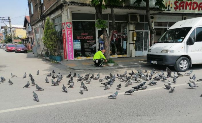 Boş sokaklarda yiyecek bulmakta zorlanan kuşları görevli Trafik polisi besledi