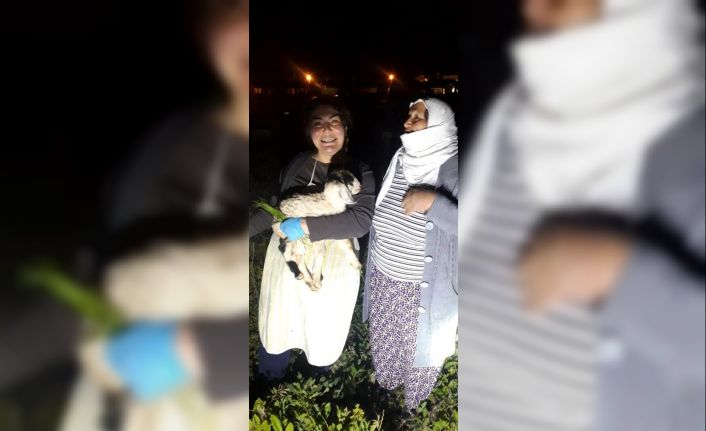 Demir boru içinde mahsur kalan oğlak itfaiye ekipleri tarafından kurtarıldı