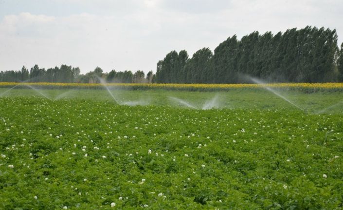 Denizli’de sulu tarımla bu yıl 1.5 milyar TL’lik artı gelir bekleniyor