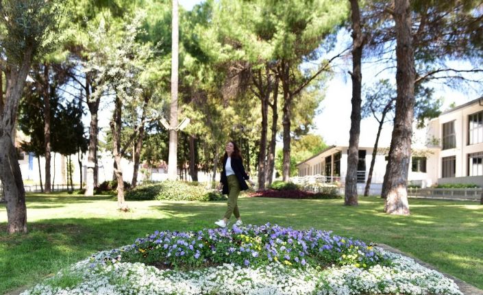 Dokumapark çiçek açtı