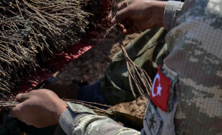 Edirne’de Lavanta ekimi yapıldı