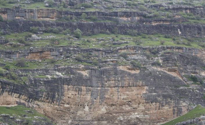 Geçiş yolları su altında kalan göçerler, tehlikeli yollardan yaylalara ulaşmaya çalışıyor