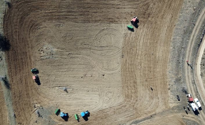 Gümüşhane’de 20 yıldır ekilmeyen tarlalar ekilmeye başlandı