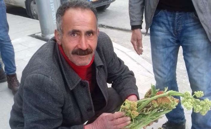 Hakkari’de ‘yayla muzu’ uçkuna yoğun ilgi