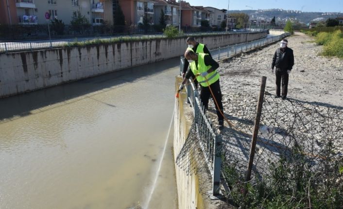 İzmit Belediyesi sivrisineklere karşı mücadele başlattı