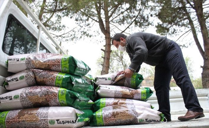 Kuru fasulye tohumu desteğiyle bölgeye 3 buçuk milyon lira katkı sağlanacak