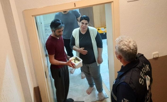 Marketler kapalı olunca zabıta, evindeki yaprak sarmasını alıp hamile kadına götürdü