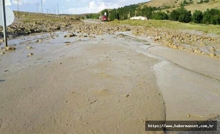 Muş’ta 83 küçük ve 1 büyükbaş hayvan selde telef oldu