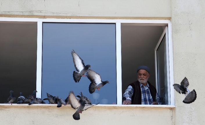 (Özel) Bursa’da sokağa çıkamayan 78 yaşındaki Hasan Amca, penceresine konan güvercinleri besledi