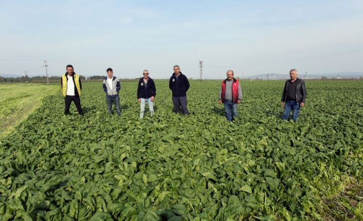 (Özel) Korona virüse rağmen üretimi tam gaz ama üretici hayli dertli
