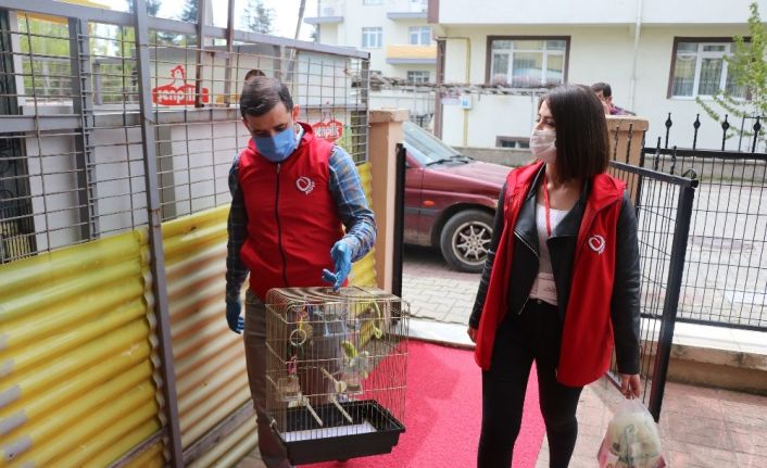 (ÖZEL) Sokağa çıkma yasağı olan yaşlı adam yalnızlığını muhabbet kuşlarıyla giderecek