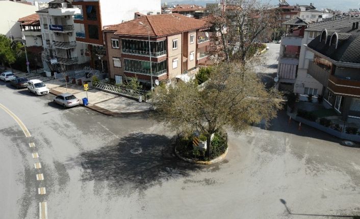 (Özel) Yolun ortasında tek kaldı, görenler şaşkına dönüyor