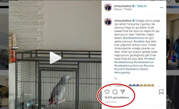 Papağandan “Evde kal” çağrısı