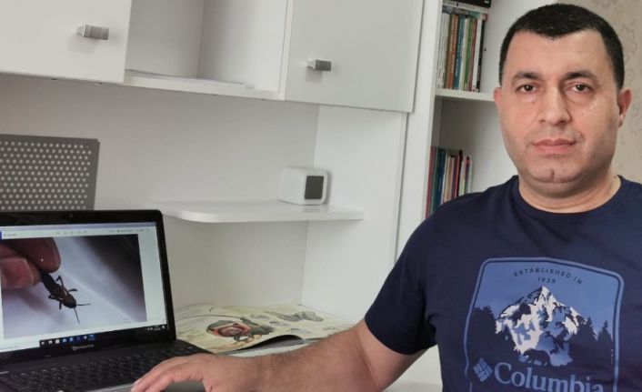 Prof. Dr. Ali Satar: "Çekirge istilası mücadelesinde daha çok ördek, tavuk kullanılmalı"