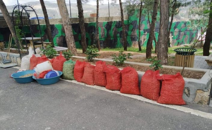 Salep soğanını toplayan şahsa 73 bin 747 lira para cezası kesildi