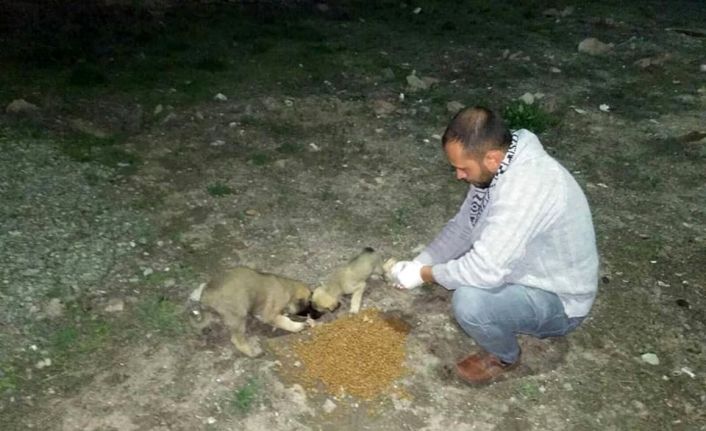 Sincan’da her gün 15-25 bölgeye mama ve su bırakılıyor