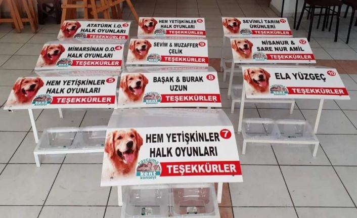 Sokak hayvanları için aş evleri yapıldı