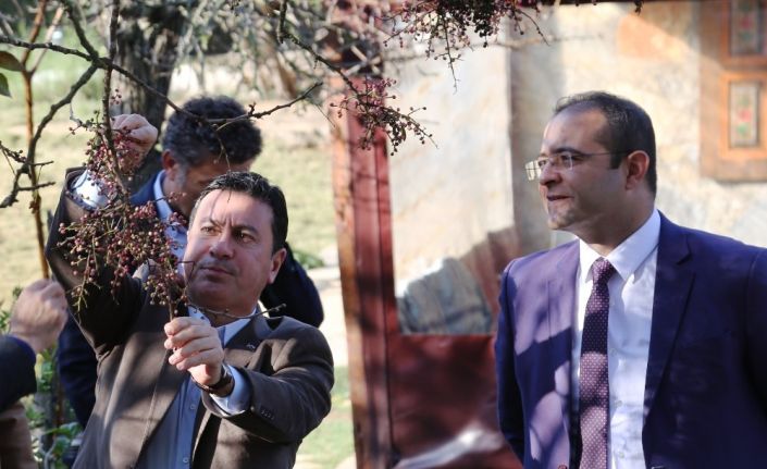 Tarımsal üretim destek ve planlama kurulu sonuç bildirgesi ile acil eylem planı açıklandı