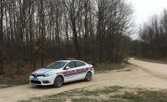 Tedbirlere uymayıp piknik yapan 8 kişiye para cezası