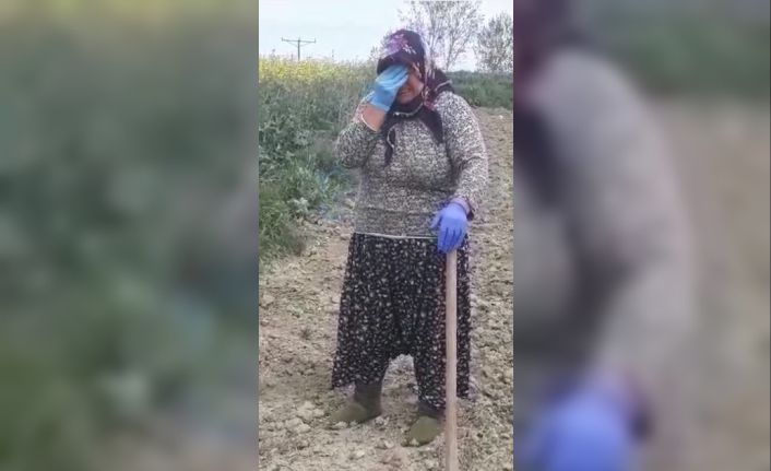 Tekirdağlı anne tarlada gözyaşlarına boğuldu: Polis oğluna ve sağlık çalışanı gelinine seslendi