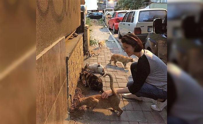 Üniversiteli 2 genç hocalarıyla birlikte sokak hayvanları için yemek artıklarını topluyor