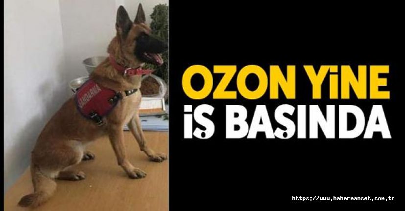 Uyuşturucu hapları “Ozon” yakaladı