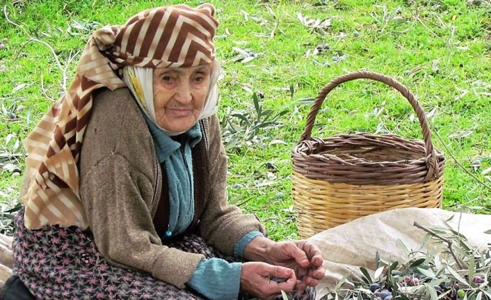 Zeytin ve zeytinyağı sektörü milli gelire sağladığı katkıyı arttırmaya devam ediyor