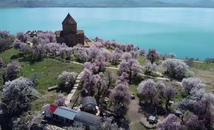 Ziyaretçisiz kalan Akdamar Adası badem çiçekleri ile görsel bir güzellik sunuyor