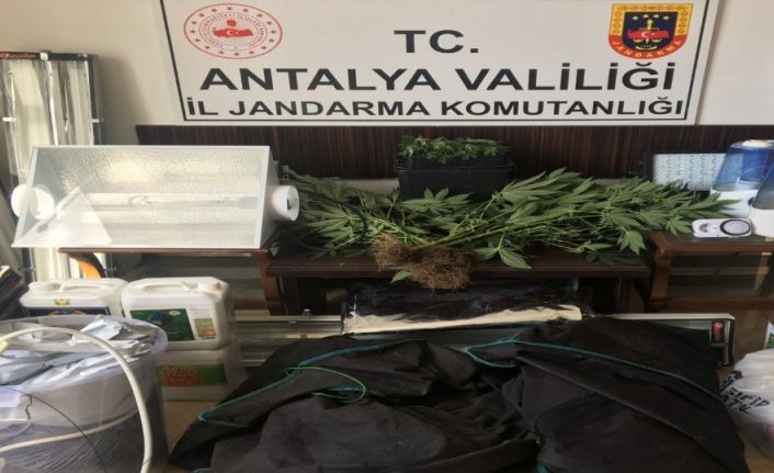 Alanya’da özel düzenekle uyuşturucu yetiştirilen eve baskın