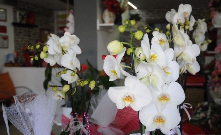 Anneler Günü’nde çiçek satışları geçmiş senelere göre rekor kırdı