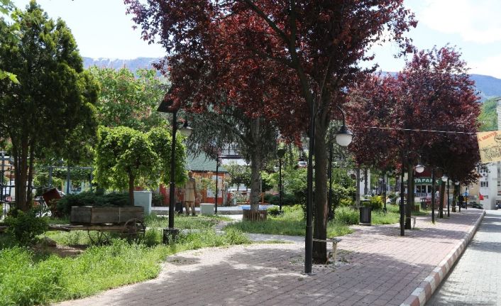 Artvin’de Korona virüs vaka sayısı sıfırlandı, 17 gündür şehirde yeni vaka görülmüyor