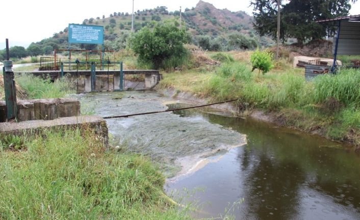 Aydınlı üreticiler, Büyük Menderes’ten su verilen kanaldaki kirliliğe bir çözüm bulunmasını istiyor