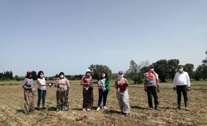 Ayvalık Ziraat Odası Başkanı Baysal, “Bu pandeminin bir başka kahramanları da Türk Çiftçisidir”