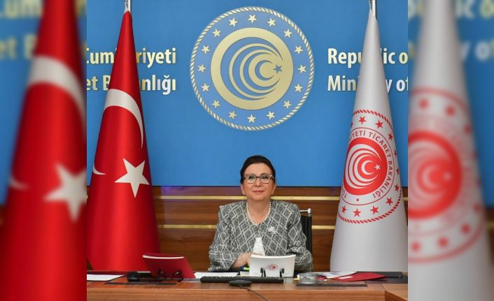 Bakan Pekcan, Türk-Rus Hükümetlerarası KEK Eşbaşkanı Novak ile görüştü