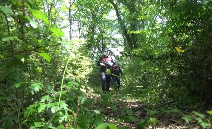 Bartın’a kaçak giriş yapmak isteyen 7 kişiye 22 bin 50 TL para cezası