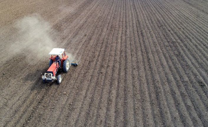 Bayburt’ta kuru soğan demonstrasyon ekimi yapıldı