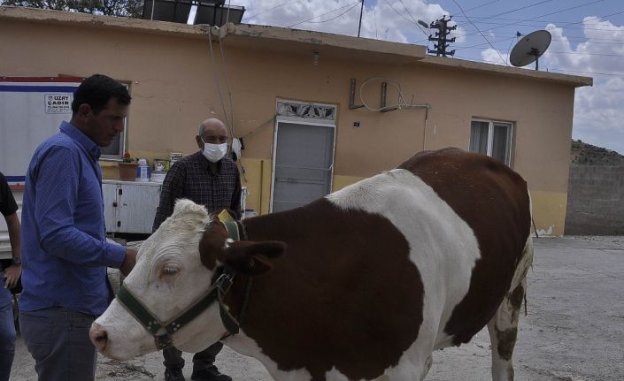 “Biz Bize Yeteriz” kampanyasına ineğini bağışladı