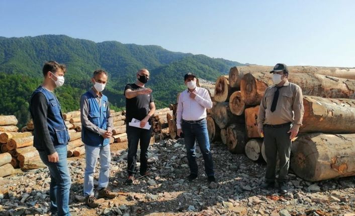 Çaylıoğlu orman dışı satış deposu kapasite artırım çalışmaları sürüyor