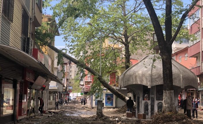 Çınar ağacı binanın üzerine yıkıldı