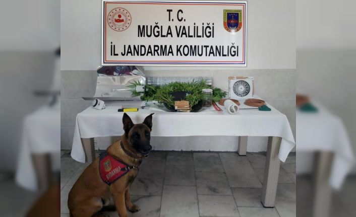 Dalyan’da uyuşturucu imalathanesine operasyon